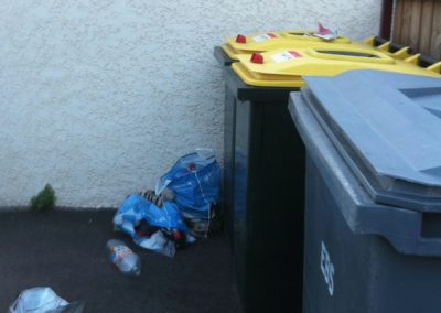 Ramassage détritus poubelle Entretien immeuble régie - syndic ACNET entreprise de nettoyage Meyzieu - Pusignan Prestation rhone, ain, isère en Rhone-Alpes