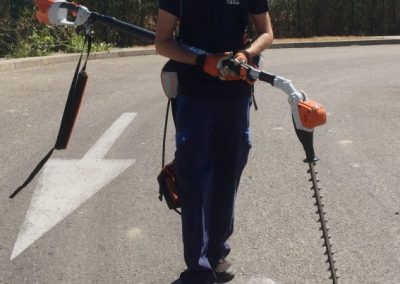 entretien-espace-vert-copropriété-élagage-régie-syndic-immeuble-ACNET-entreprise-de-nettoyage-Meyzieu-Pusignan-Nettoyage-rhone-ain-isère-en-rhone-alpes