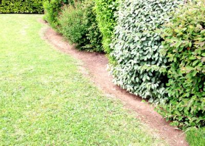 ENTRETIEN D'ESPACE VERT entretien-espace-vert-tonte-taille-de-haie-arbuste-ACNET-entreprise-de-nettoyage-Meyzieu-Pusignan-Nettoyage-rhone-ain-isère-en-rhone-alpe