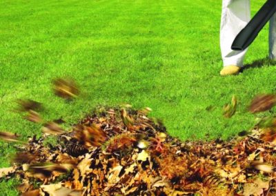 Soufflage et ramassage de feuilles mortes